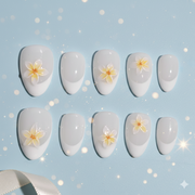 Plumeria Cloud | B1P05